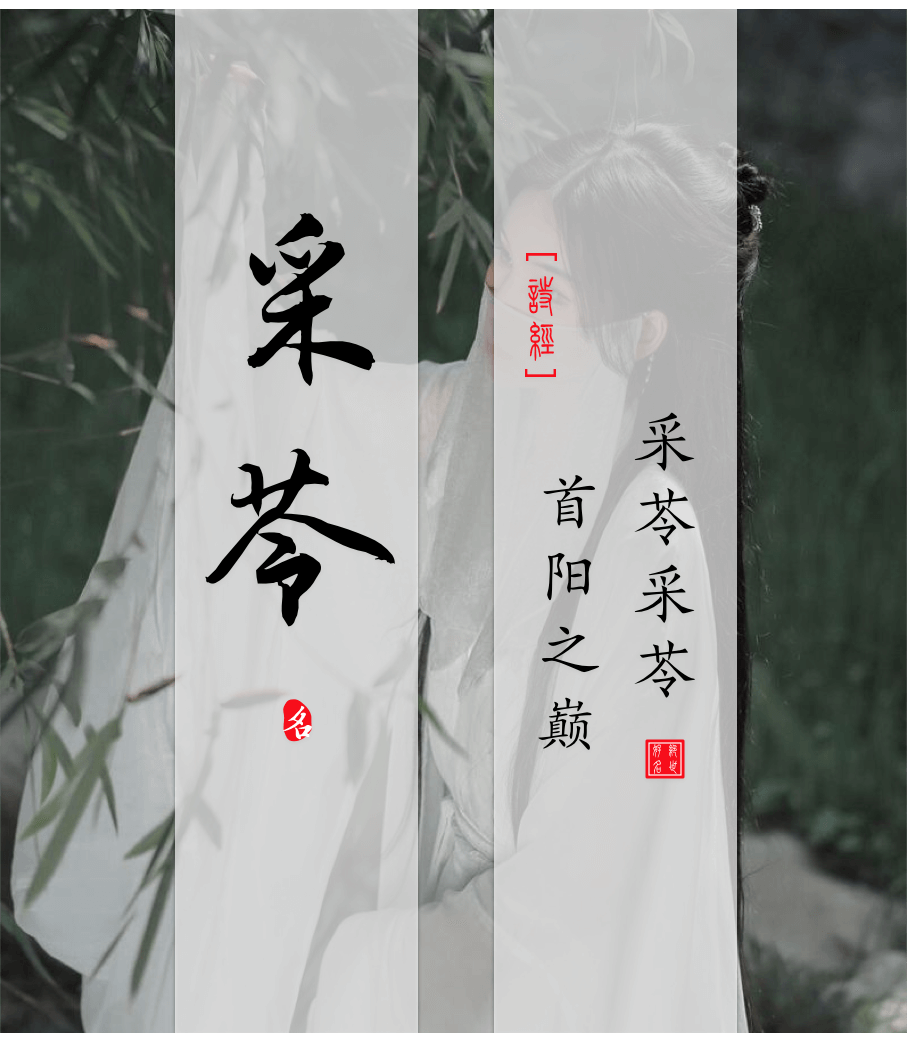 Cailing(采苓) - Chinese names for girls from the Book of Songs Ⅴ