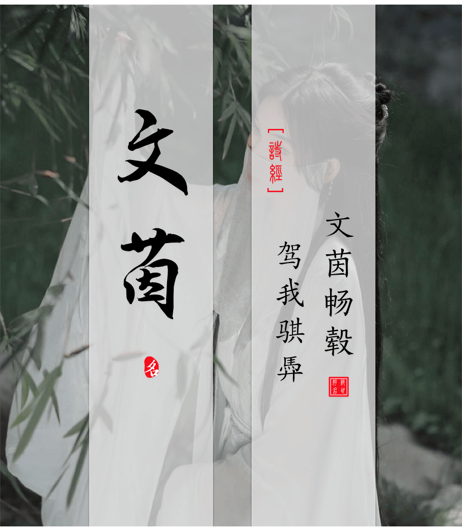 Wenyin(文茵) - Chinese names for girls from the Book of Songs Ⅴ